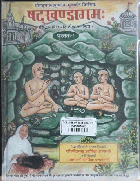 Local cover image